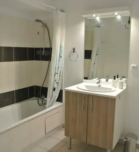 Апартаменты Spacieux T3 Balcon Parking Prive Тулуза